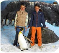 Campamentos urbanos de Navidad en Faunia