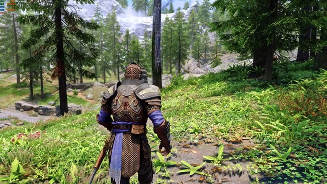 "Esto es histórico". Esto que ves no es un RPG de 2026, es Skyrim con un mod gráfico que no te exige un PC de la NASA