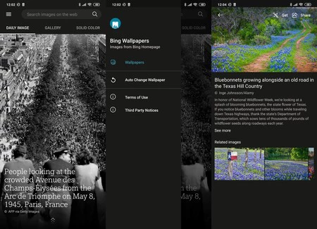 Bing の壁紙 壁紙