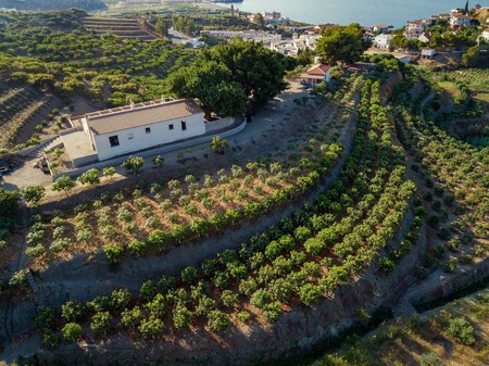 Pueblo Pesquero Bonito Malaga Sin Turistas playa