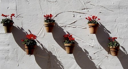 Macetas en Marbella