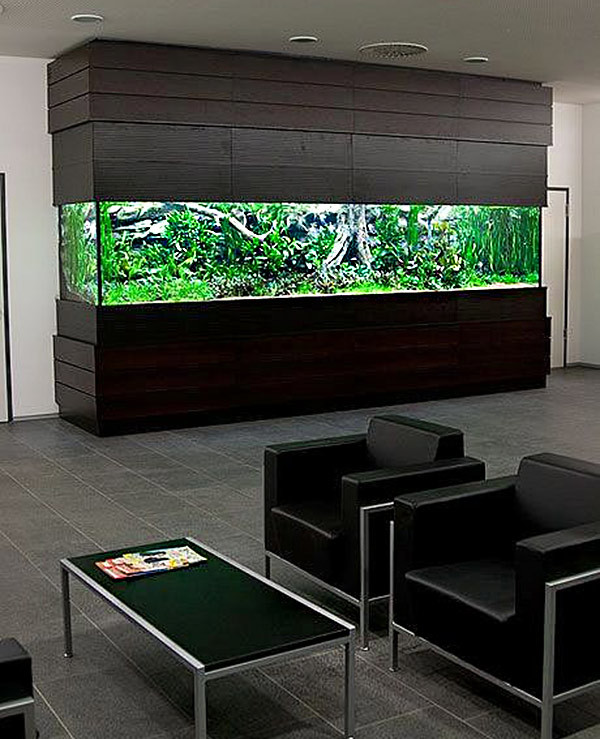 Los 17 acuarios más sorprendentes para instalar en casa