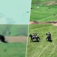 Ucrania se ha convertido en una carnicería de animales: los soldados rusos aparecen con caballos y los drones los estallan