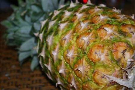 Tejidos de soja y piña, la nueva revolución textil