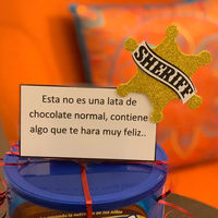 "Las vacaciones de Woody", el lindo gesto que tuvo un hotel cuando un niño olvidó su juguete favorito durante un viaje familiar