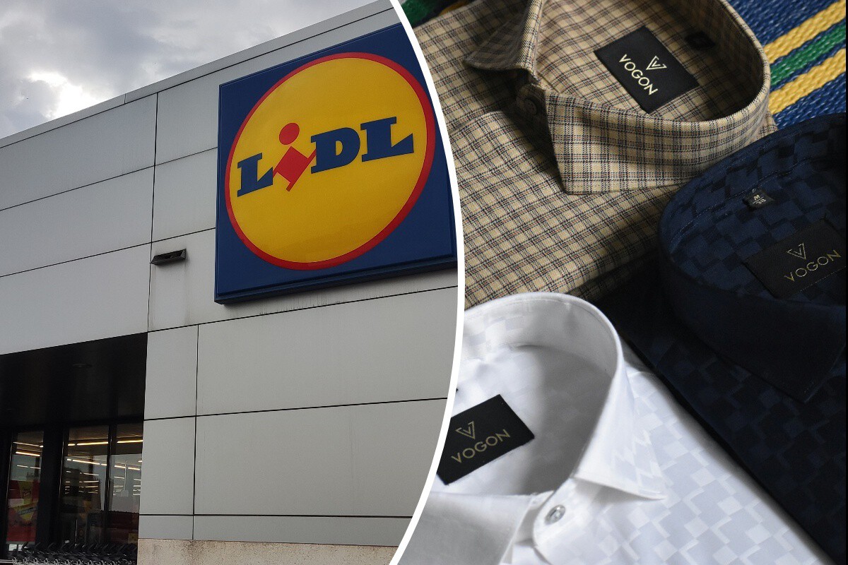 Hoy en Lidl la solución para los que odian planchar las camisas y además a precio rebajado