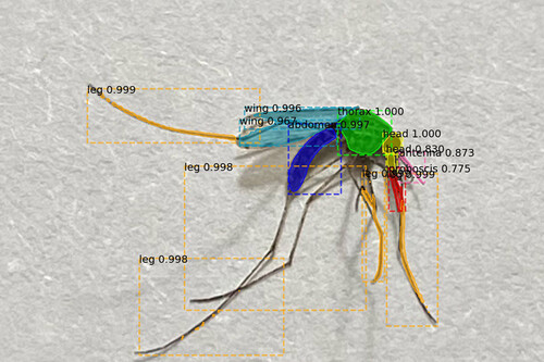 Mosquitos