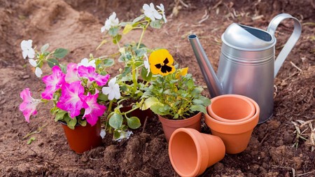 Macetas Para El Jardin