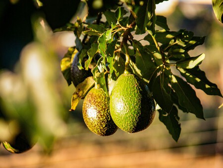 Post De Facebook Frase Acuarela Azul 1200 X 900 Px 5