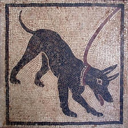 Compañeros de ruta: asegurarse antes de viajar y ¿qué hacemos con nuestra mascota?