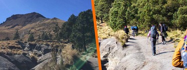 Desconéctate de la rutina en el Parque Nacional La Malinche: cerca de CDMX e ideal para respirar aire fresco