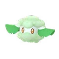 Cottonee