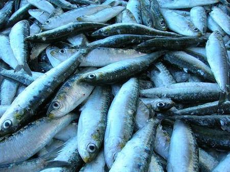 Comida para sufrir menos: a más pescado, menos depresión