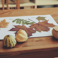 Un paseo de otoño: recolectamos hojas