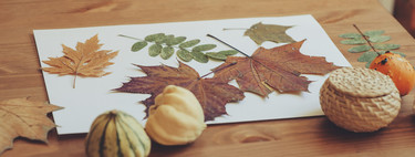 Un paseo de otoño: recolectamos hojas