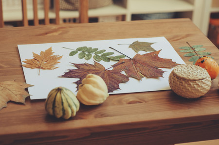 Un paseo de otoño: recolectamos hojas