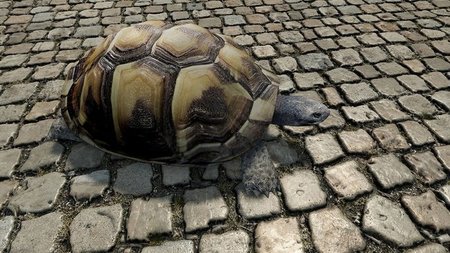 'Crysis' como nunca antes lo habías visto