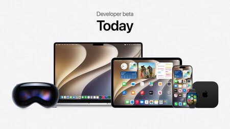 Developer Beta