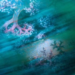 Foto 9 de 10 de la galería arte-en-la-naturaleza en Xataka Foto