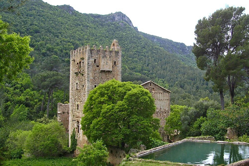 Murta Alzira