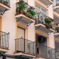 Esta planta es ideal para tener en el balcón o la terraza de casa. Espanta los mosquitos, aguanta el calor y no necesita mucho riego 