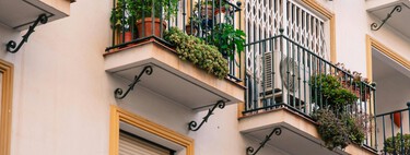 Da buen olor, es preciosa, espanta los mosquitos y además casi no hay que cuidarla. Así es esta planta casi perfecta para tu balcón