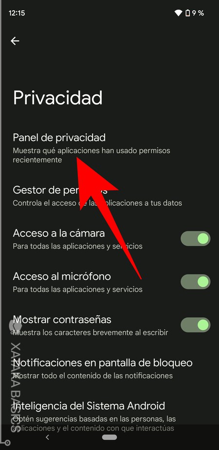 Panel De Privacidad