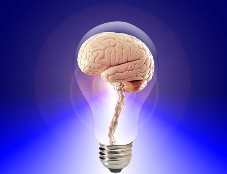 La Neurociencia Entra En Su Siguiente Nivel Llega El Neurocapitalismo 3