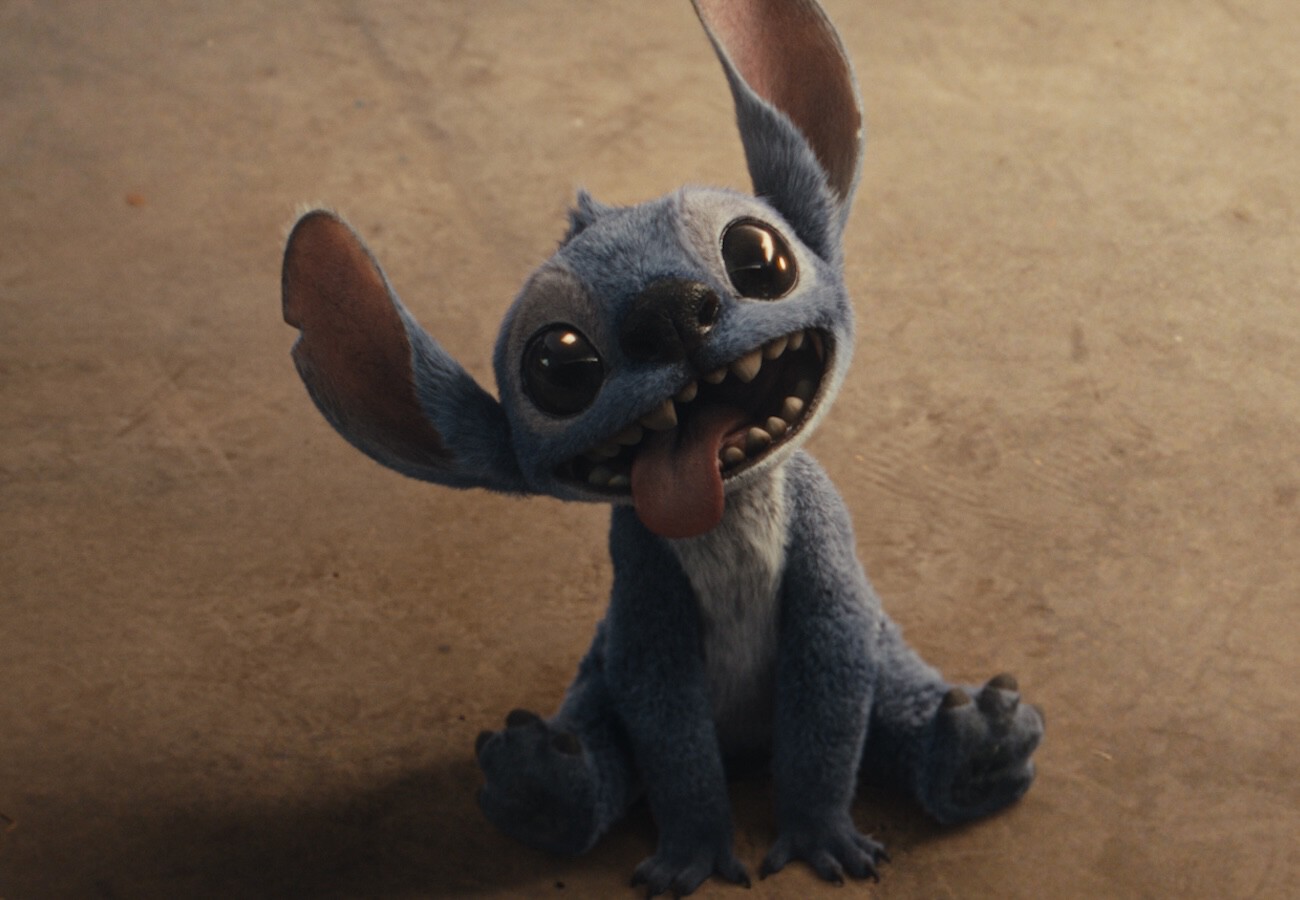 Vanessa bohorquez onlyfans videos scheduled via the