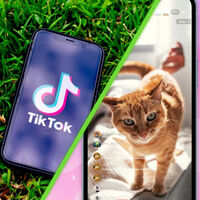 TikTok en México ya deja elegir lo que quieres ver (y lo que no) en "Para Ti": estos son sus nuevos controles personalizados 