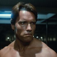 Schwarzenegger es "un extraterrestre enamorado de una muchacha". No es la trama de una nueva peli, sino la sinopsis absurda de un VHS de The Terminator