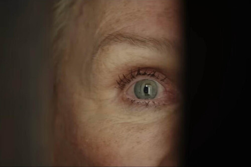 Hoy en Netflix, el último misterio de uno de los grandes directores de thriller de esta década: con auténtica pasión por el suspense