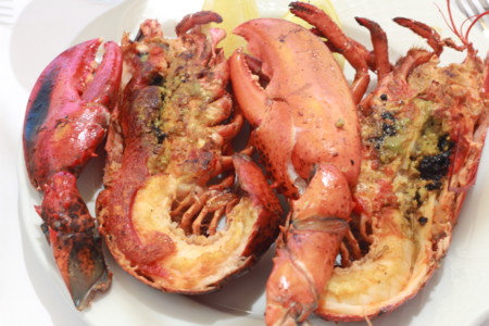 Bogavante Cabane