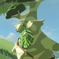 Cómo activar y completar la misión secundaria "Las Maracas de Obab" en Zelda Breath of the Wild 