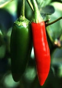 ¿Cómo se mide el picor de un alimento? test de Scoville y método Gillet