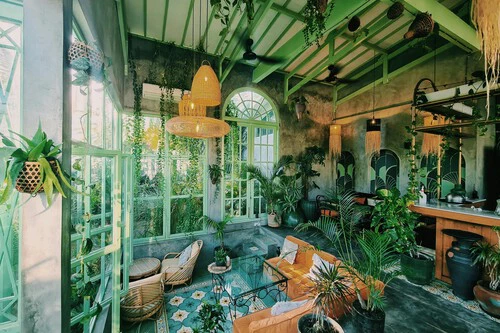 Pexels Photo 31229171