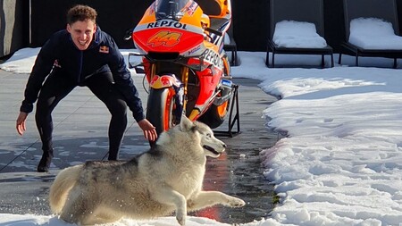 Espargaro Repsol Honda Motogp 2021