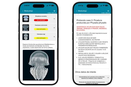 Medusapp 3 Medusapp 3