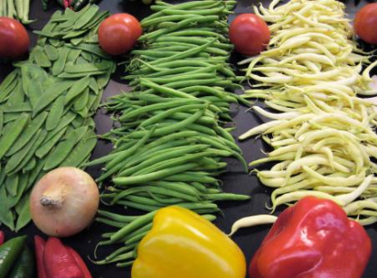 ¿Por qué debemos utilizar alimentos ecológicos?