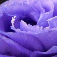 Día del Padre: regalos baratos para sorprender a papá