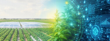 Nem tratores, nem agricultores: a China revela a megaestrutura bizarra perfeita para cultivar comida fresca, barata e infinita para alimentar bilhões de pessoas