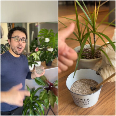 Un experto en plantas revela el secreto para tener plantas muy sanas: preparar un abono natural con desechos que acaban en la basura a diario