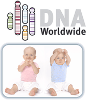 Test para conocer el sexo del bebé a las 6 semanas de gestación se vende a través de internet