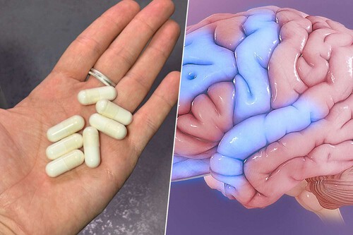 Creatina Y Cerebro