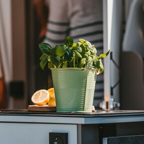 Lidl vende la torre de plantación por menos de 10 euros perfecto para comenzar a cultivar nuestras propias especias en casa