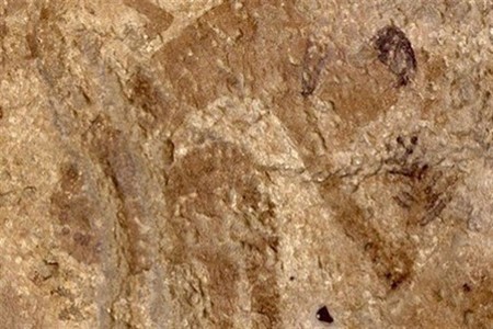 Evidencia de que la cocina se inventó hace más de 10.000 años
