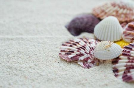 Las actividades más inolvidables en la playa con los niños