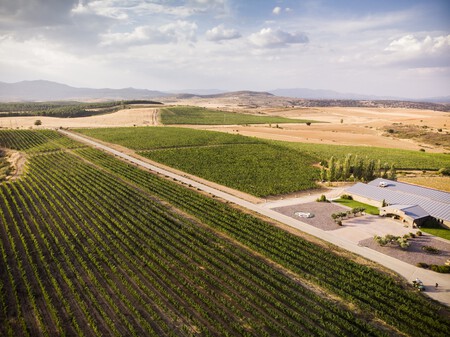 Bodega Finca Rio Negro Vinedos Y Entorno 8 Copia
