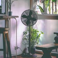 Liquidación de ventiladores: este con motor silencioso y gran potencia está arrasando a casi mitad de precio 