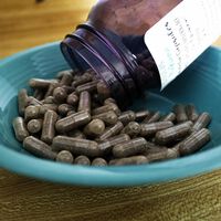 Camilo cuenta que Evaluna se comió la placenta tras el parto, aunque la ciencia asegura que no tiene ningún beneficio (y hasta podría ser peligroso)